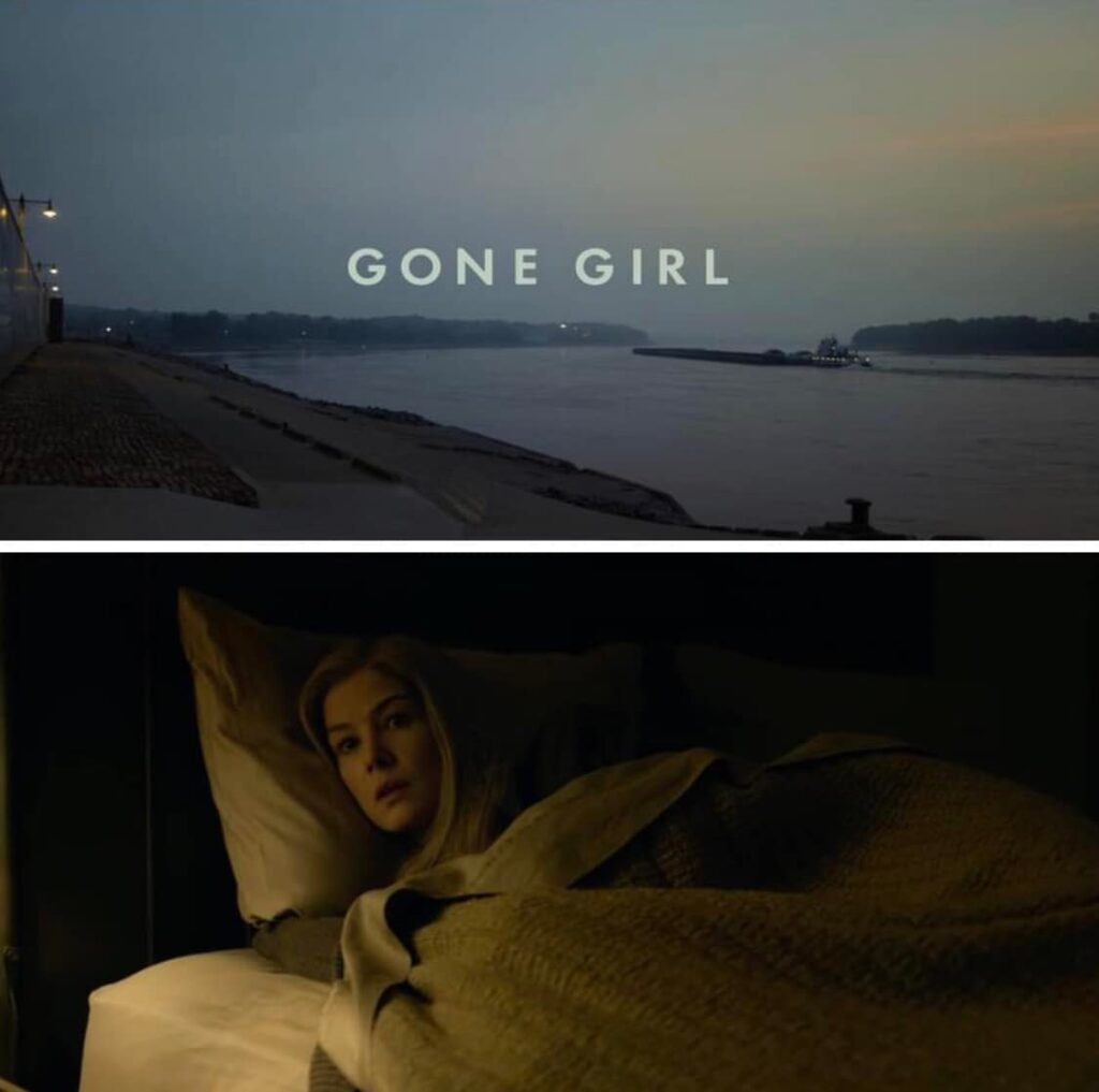 Gone Girl